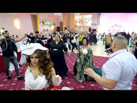 Видео: РИСТЕМ 2025 ЗА ГРУПА ВЕСЕЛЯЦИ