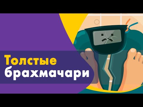 Видео: Толстые брахмачари