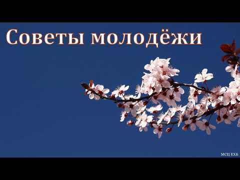 Видео: "Советы молодёжи". А. Штайгер. МСЦ ЕХБ