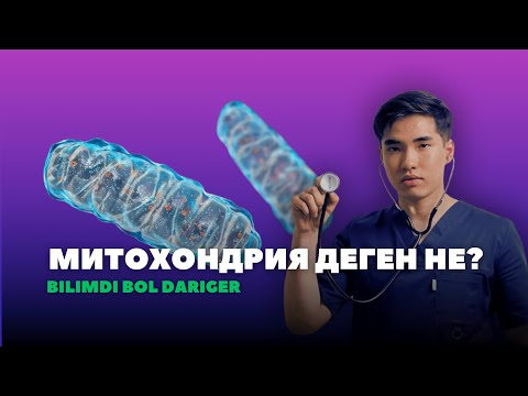 Видео: МОЛЕКУЛЯРЛЫҚ БИОЛОГИЯ 4-ШІ САБАҚ  І  МИТОХОНДРИЯ ҚЫЗМЕТІ ЖӘНЕ ҚҰРЫЛЫСЫ