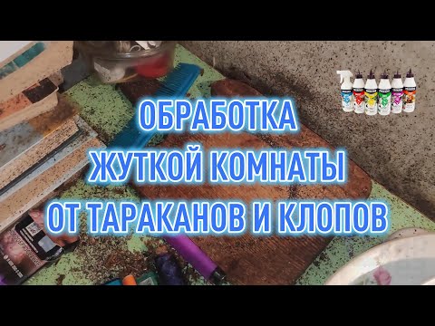 Видео: Уничтожили тараканов в самой сложной комнате с одной обработки и на 99% избавились от клопов