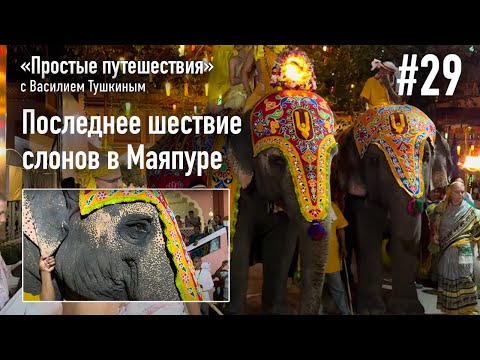 Видео: "Простые путешествия" #29 - Последнее шествие слонов в Маяпуре (23 марта 2024)