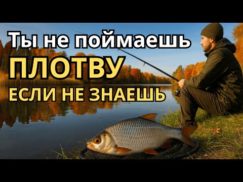 Видео: Секреты успешной рыбалки на плову осенью для новичков