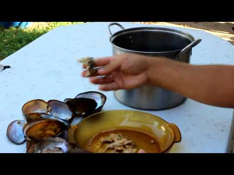 Видео: Речные мидии – как почистить и приготовить мидии