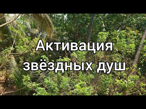 Видео: Звёздные души :) Странники:)) Миссия на Земле :))
