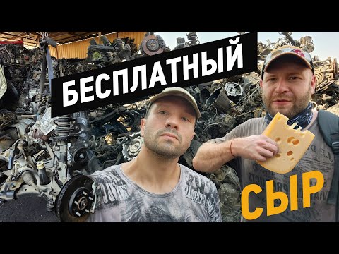 Видео: Как купить живой мотор. Бесплатный сыр в мышеловке!