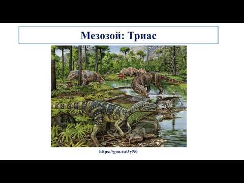 Видео: III - тоқсан, Биология, 10 сынып, Кладограммалар, Түсінік «соңғы әмбебап жалпы ата тек»