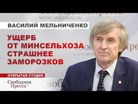 Видео: Рекордный урожай зерна разоряет сельчан/ ЧИНОВНИКИ ЗАРАБАТЫВАЮТ МИЛЛИАРДЫ // Мельниченко