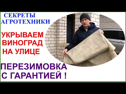 Видео: Вариант укрытия винограда на зиму в условиях северного Подмосковья.