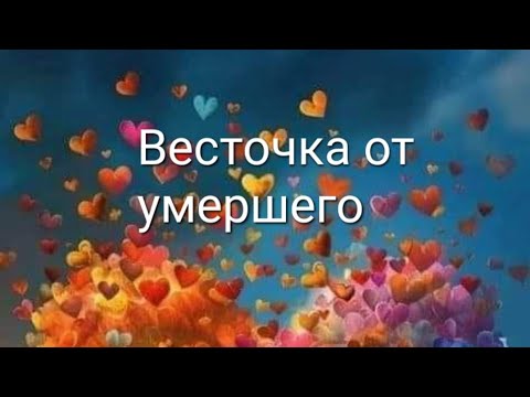 Видео: 🕊✨️✨️Весточка от умершего, от ушедшей в мир иной Души ✨️ ✨️