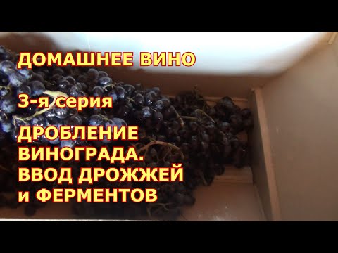 Видео: 3 я серия. Домашнее виноделие.  ДРОБЛЕНИЕ винограда. ВВОД ДРОЖЖЕЙ и ФЕРМЕНТОВ