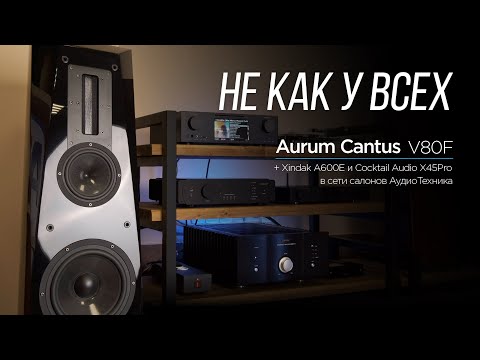 Видео: High End акустика Aurum Cantus V80F и усилитель Xindak A600E в новом питерском салоне АудиоТехника