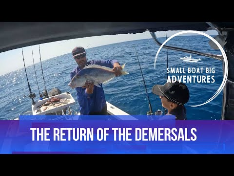 Видео: Сезон донной рыбалки ВЕРНУЛСЯ — давайте найдём НОВЫЕ места