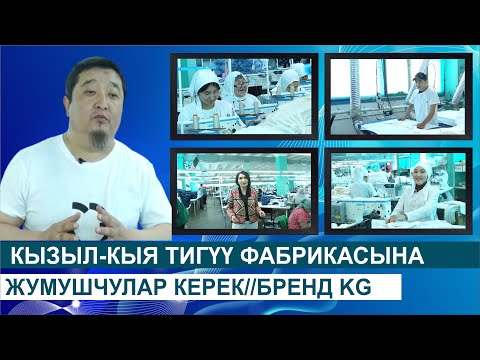 Видео: КЫЗЫЛ-КЫЯ ТИГҮҮ ФАБРИКАСЫНА ЖУМУШЧУЛАР КЕРЕК//БРЕНД KG