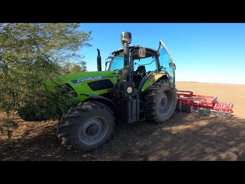 Видео: Трактор Zoomlion RS1304 работает с культиватором-компактором на осеннем севе | Будни КФХ "Сокол"