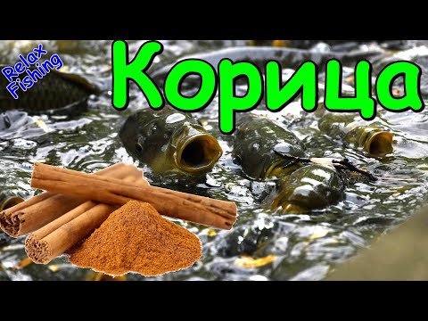 Видео: Реакция рыбы на КОРИЦУ! Подводная съемка рыбалки. Лещ, карась, плотва, сазан/карп.