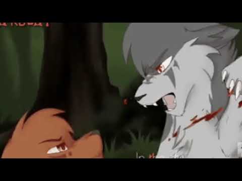 Видео: В честь 23 февраля. Коты-воители японский опенинг