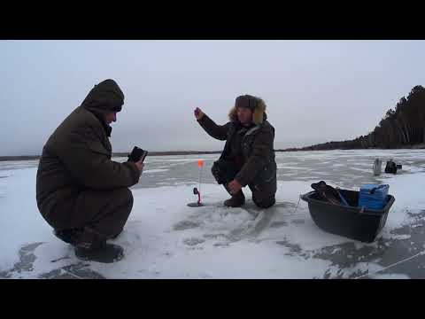 Видео: По первому льду за Щукой с Сергеем.