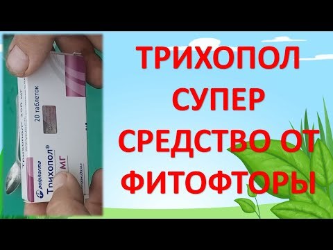 Видео: ТРИХОПОЛ - СУПЕР СРЕДСТВО ОТ ФИТОФТОРЫ И БОЛЕЗНЕЙ ТОМАТОВ. Безопасное средство от фитофторы #garden