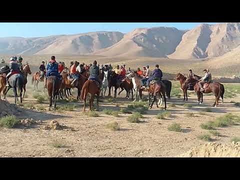 Видео: Бузкаши 