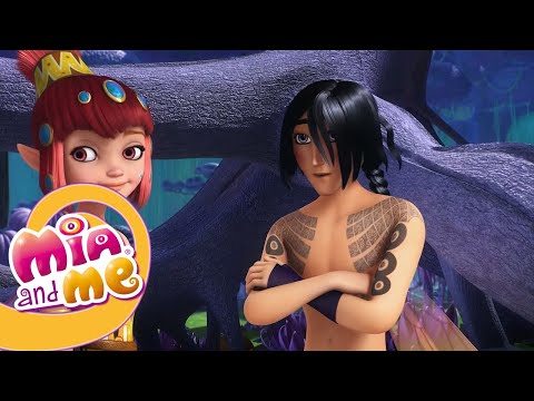 Видео: Мия и Я - 1 сезон - 22 - 24 серия - Mia and me