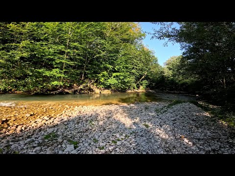 Видео: Форелевая рыбалка на красивой ледниковой реке