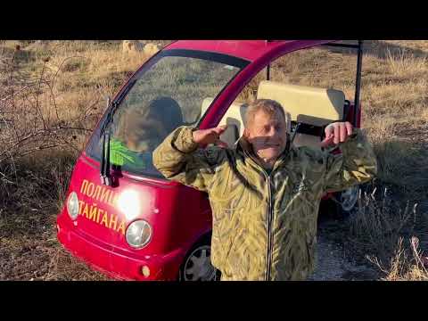 Видео: Львы побросали всё мясо и ПОБЕЖАЛИ НА РАЗБОРКИ к конкурентам!