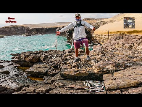 Видео: Если вы найдете школу; используйте эту установку. Невероятно!! || сабики рыбалка.