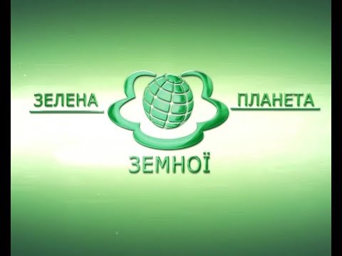 Видео: Як зміцнити імунітет. Поради від Наталії Земної. Зелена планета