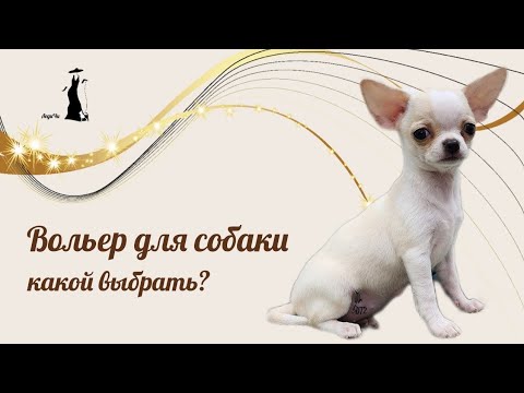 Видео: Вольер для чихуахуа . Как оставить щенка одного дома. Как приучить к пеленке с помощью вольера.