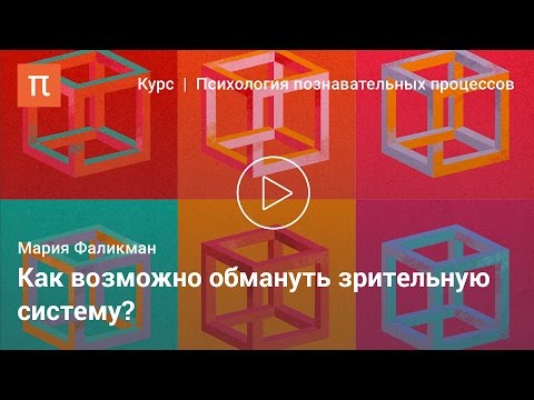 Видео: Механизмы восприятия - Мария Фаликман