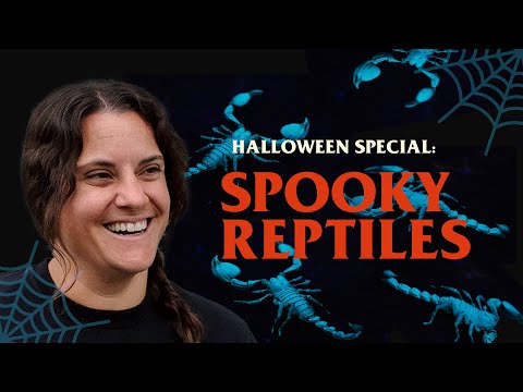 Видео: СПЕЦВЫПУСК НА ХЭЛЛОУИН: ЖУТКИЕ РЕПТИЛИИ😱👻