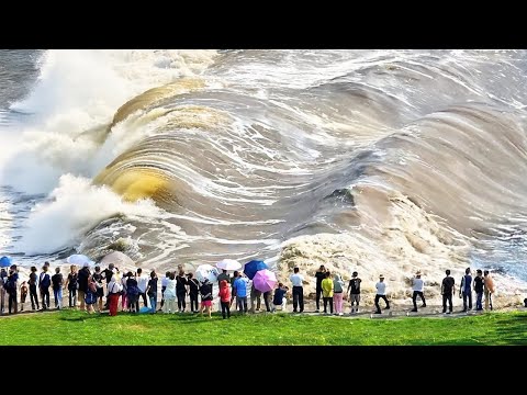 Видео: Вот Почему Корабли Никогда не Проходят Под Южной Америкой