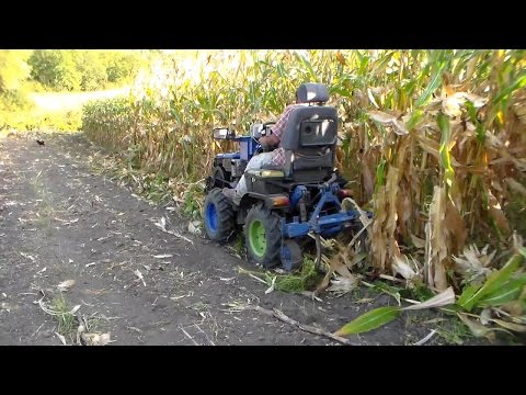 Видео: Урожай кукурузы Corn harvest