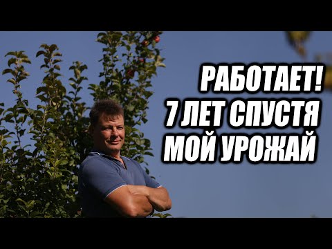 Видео: Съел яблоко в 2018-м — собрал урожай в 2025-м! Без прививки