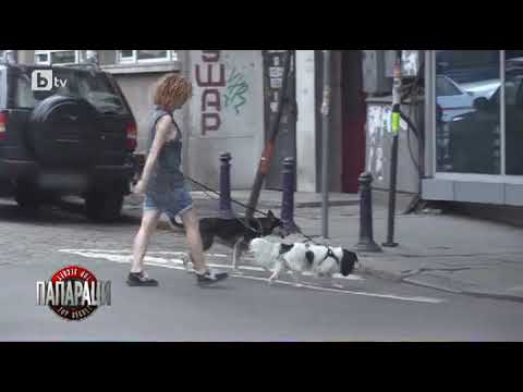 Видео: Папараци: Люси Дяковска на разходка с кучетата си