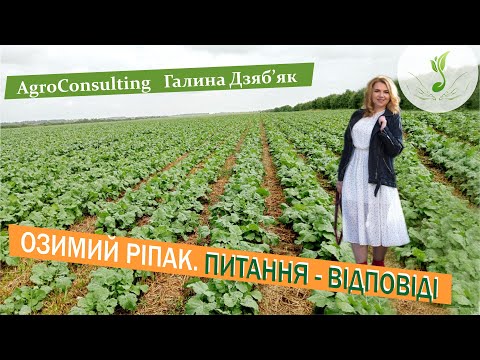 Видео: Деталі осіннього захисту ріпаку озимого.Боротьба з шкідниками, регуляція росту, бакові суміші, сірка