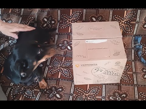 Видео: Прислали наряды для Джессики🔥🔥🔥