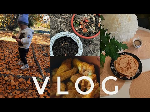 Видео: Рецепт курячих крилець || Садимо цибулини квітів 🌷 