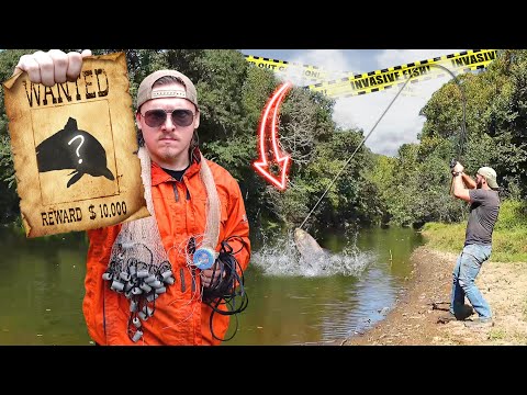 Видео: Поймав эту рыбу, вы разбогатеете!