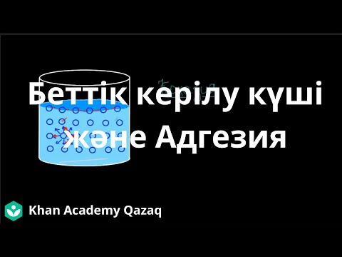 Видео: Беттік керілу күші және Адгезия | Физика | Қазақ Хан Академиясы