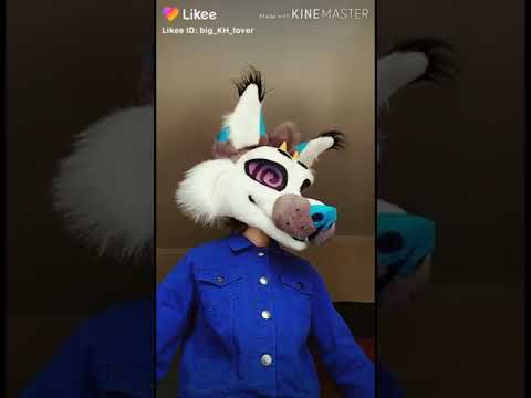 Видео: Фурри с Лайка | Furry with Likee