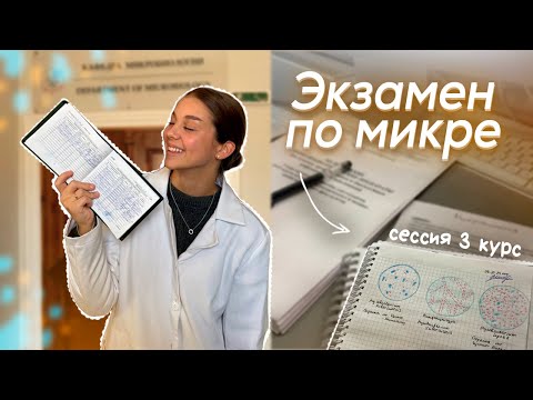 Видео: VLOG: КАК Я СДАЛА МИКРУ ??? СЕССИЯ 3 КУРС