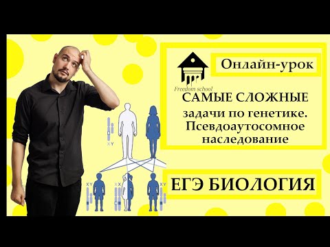 Видео: САМЫЕ СЛОЖНЫЕ задачи по Генетике в ЕГЭ 2023|ЕГЭ БИОЛОГИЯ|Freedom|