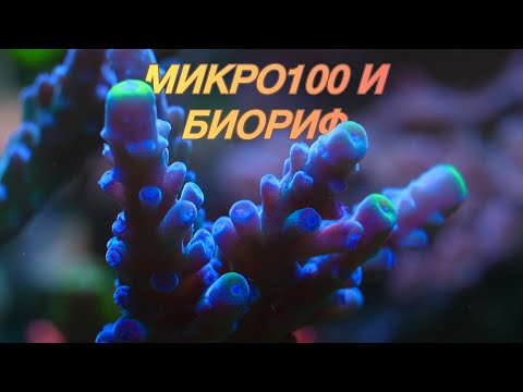 Видео: НУЖНО ЛИ ИСПОЛЬЗОВАТЬ ИХ ВМЕСТЕ? 