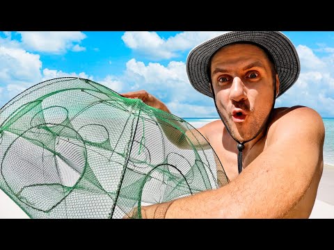Видео: 24 ЧАСА ВЫЖИВАНИЕ НА ОСТРОВЕ. ЛОВУШКИ ALIEXPRESS И ПОДВОДНАЯ ОХОТА