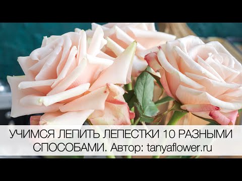 Видео: УЧИМСЯ ЛЕПИТЬ ЛЕПЕСТКИ 10 РАЗНЫМИ СПОСОБАМИ. Автор: tanyaflower.ru