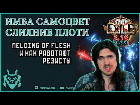 Видео: Почему Melding - имба? И как работают резисты в ПоЕ. Path of exile 3.18 Sentinel