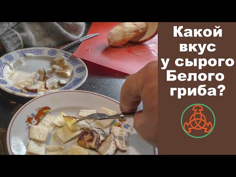 Видео: Какой вкус у сырого Белого гриба!
