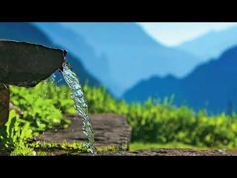 Видео: Истина в любви Отца